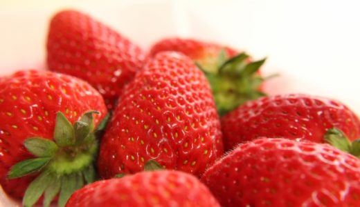 和歌山県の看護師におすすめ転職サイト・エージェントランキング！和歌山県の看護師転職事情