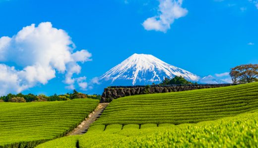 静岡県の看護師におすすめ転職サイト・エージェントランキング！静岡県の看護師転職事情