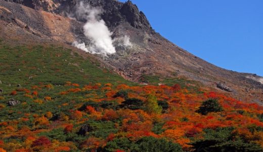 栃木県の薬剤師におすすめ転職サイト・エージェントランキング！最新の栃木県薬剤師転職事情