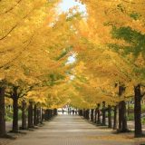 福島県の薬剤師転職事情！最新求人事情やおすすめ薬剤師転職サイト