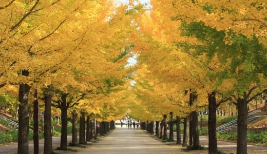 福島県の薬剤師におすすめ転職サイト・エージェントランキング！最新の福島県薬剤師転職事情