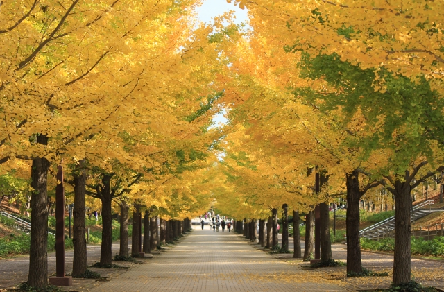 福島県の薬剤師転職事情！最新求人事情やおすすめ薬剤師転職サイト