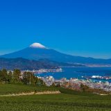 静岡県の薬剤師転職事情!最新求人事情やおすすめ薬剤師転職サイト