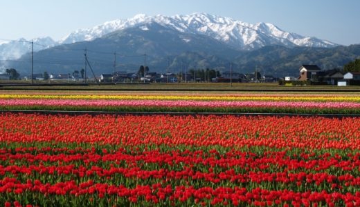 富山県の薬剤師におすすめ転職サイト・エージェントランキング！最新の富山県薬剤師転職事情