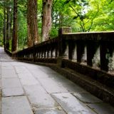 群馬県の薬剤師転職事情!最新求人事情やおすすめ薬剤師転職サイト