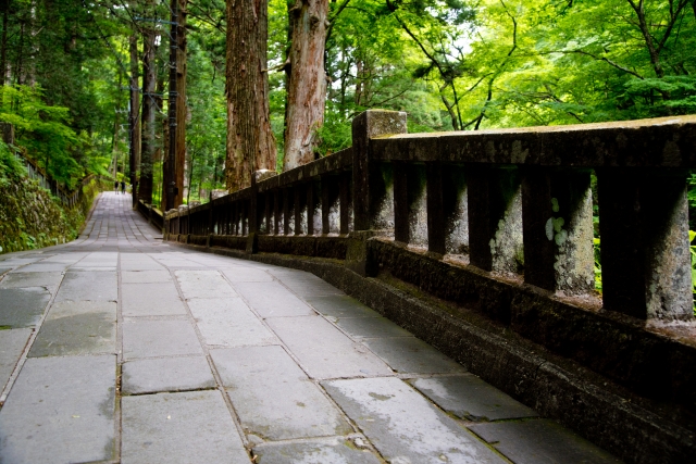 群馬県の薬剤師転職事情！最新求人事情やおすすめ薬剤師転職サイト