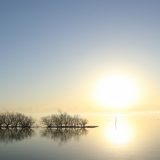 茨城県の薬剤師転職事情!最新求人事情やおすすめ薬剤師転職サイト