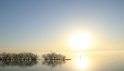 茨城県の薬剤師におすすめ転職サイト・エージェントランキング！最新の茨城県薬剤師転職事情
