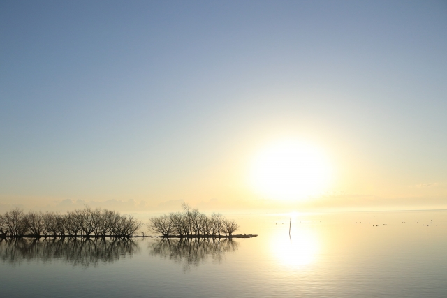 茨城県の薬剤師転職事情！最新求人事情やおすすめ薬剤師転職サイト