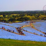 茨城県の介護職求人とおすすめ介護転職サイト！気になる茨城県の介護職転職事情