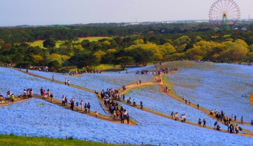 茨城県のおすすめ介護職転職サイト・エージェントランキング！茨城県の介護職転職完全ガイド