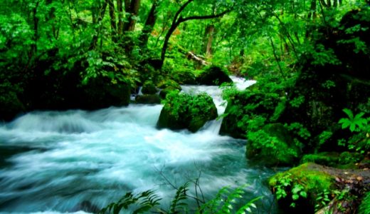 青森県のおすすめ介護職転職サイト・エージェントランキング！青森県の介護職転職完全ガイド