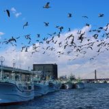 千葉県の介護職求人とおすすめ介護転職サイト!気になる千葉県の介護職転職事情