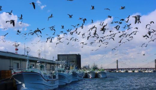 千葉県のおすすめ介護職転職サイト・エージェントランキング！千葉県の介護職転職完全ガイド