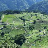 岐阜県の介護職求人とおすすめ介護転職サイト!気になる岐阜県の介護職転職事情