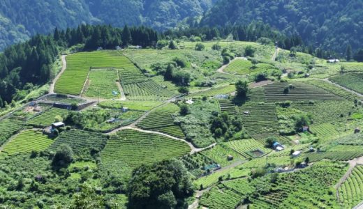 岐阜県のおすすめ介護職転職サイト・エージェントランキング!岐阜県の介護職転職完全ガイド