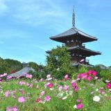 三重県の介護職求人とおすすめ介護転職サイト!気になる三重県の介護転職事情