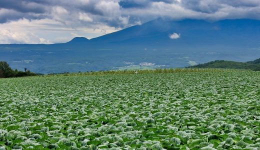 群馬県のおすすめ介護職転職サイト・エージェントランキング！群馬県の介護職転職完全ガイド