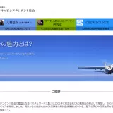CA人材センター