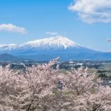 岩手県のエンジニア転職完全ガイド!岩手県のおすすめ求人の探し方