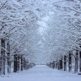 福島県のエンジニア転職完全ガイド！福島県のおすすめ求人の探し方