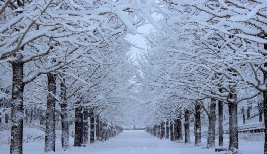 福島県のエンジニアおすすめ転職サイト・エージェントランキング!福島県のエンジニア転職完全ガイド!