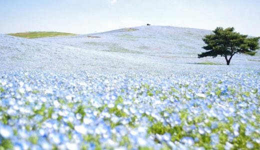 茨城県のエンジニアおすすめ転職サイト・エージェントランキング!茨城県のエンジニア転職完全ガイド!