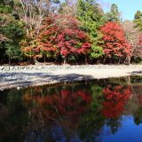 三重県のエンジニア転職完全ガイド！三重県のおすすめ求人の探し方