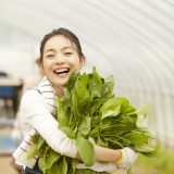 農業における６次産業化とは？メリット・デメリットから歴史までわかりやすく解説！