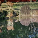 奈良県のエンジニア転職完全ガイド!奈良県のおすすめ求人の探し方