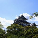 和歌山県のエンジニア転職完全ガイド!和歌山県のおすすめ求人の探し方
