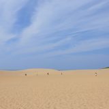 鳥取県のエンジニア転職完全ガイド！鳥取県のおすすめ求人の探し方