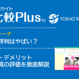 フォルトゥーナの口コミ・評判はやばい？メリット・デメリットと求人数・サポートの手厚さを評価【2024年】