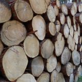 林業への転職に失敗しないための6つの方法と注意点を解説！