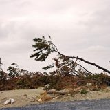 台風で仕事を休むのがおかしい?日本人の働き方は異常?