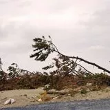 台風で仕事を休むのがおかしい？日本人の働き方は異常？