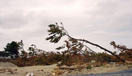 台風で仕事を休むのがおかしい？日本人の働き方は異常？