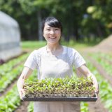 農家の平均年収っていくら?年収1,000万円以上は夢ではない?